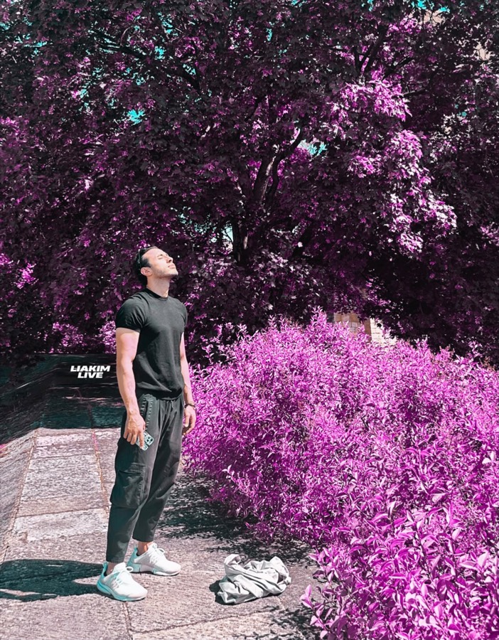 Liakim in der Natur